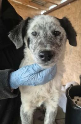 577038724 25157213550585901 7466466127035452743 n