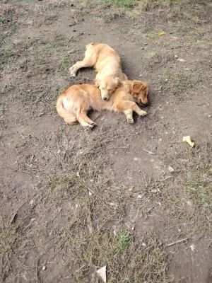 577041984 25194600946847161 5656491973529869142 n