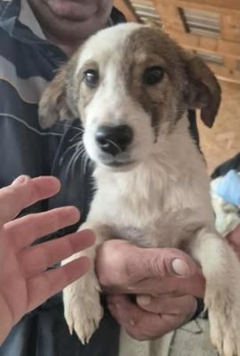 577051773 25157118040595452 435715003683719715 n