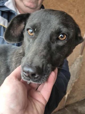 577053813 25146813281625928 1439469379811669501 n