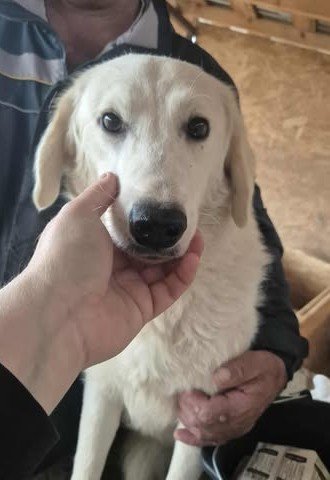 577058115 25163173216656601 688163844941215915 n