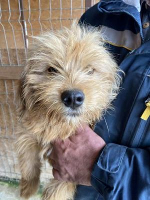 577060867 25157522923888297 6875741551485673517 n