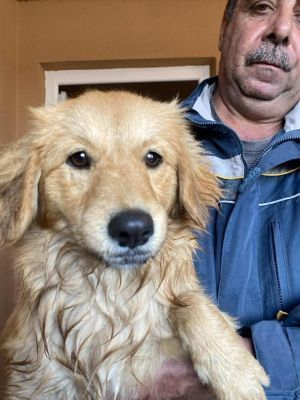 577062132 25194541050186484 8715153151418218847 n