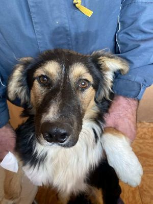 577062137 25194390743534848 1724241582090298418 n