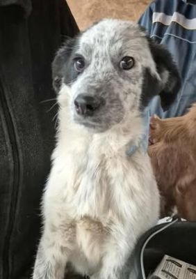 577062149 25157289033911686 5852767359056485189 n