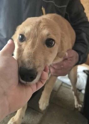 577063627 25157000730607183 862455580193532839 n