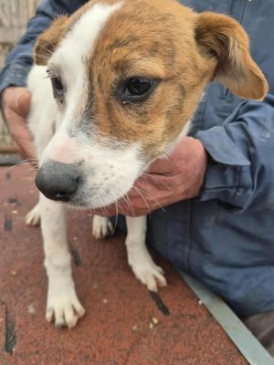 577071464 4102053200007920 279509279124067265 n