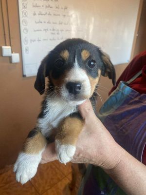 577115769 1895320511417117 6474438924588135401 n