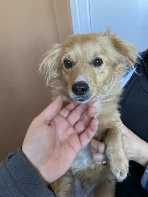 577120190 25127361973571059 3186281340444065133 n