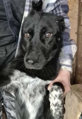 577129657 25166056339701622 3501288163757080083 n