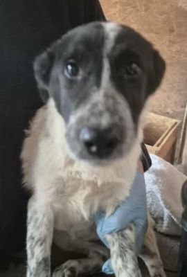 577129661 25156903020616954 4887519445177610230 n