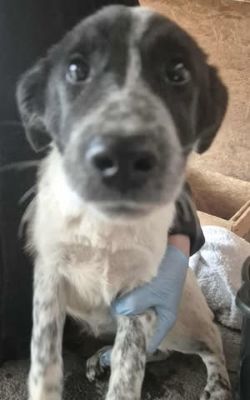 577410074 25156899160617340 2127472577138302158 n