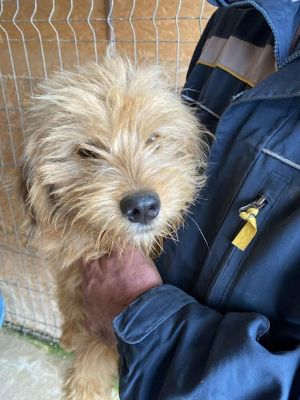 577437851 25157522927221630 7470127683931494828 n