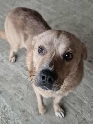 577442908 25153142217659701 1143829214272912299 n