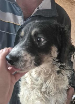 577634589 25147448498229073 1803647356316981849 n