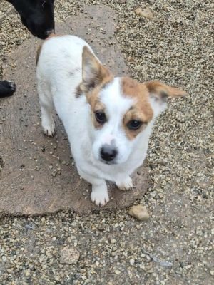 577646260 844042421546637 7750517243166011167 n