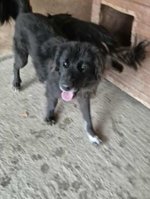 577669916 25166143483026241 1542456205826593561 n