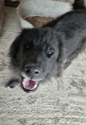 577790328 25166143539692902 1580880916454507421 n