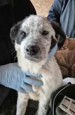 577795846 25157291540578102 4755784567665019041 n