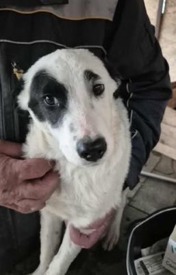 577813225 25157351203905469 3455325797172110114 n