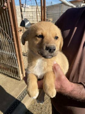 577830774 25175272552113334 4299729011258158732 n