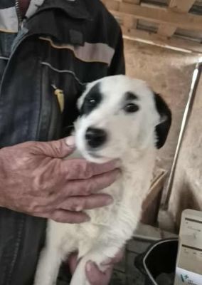 577842415 25157351373905452 6066451274316147695 n