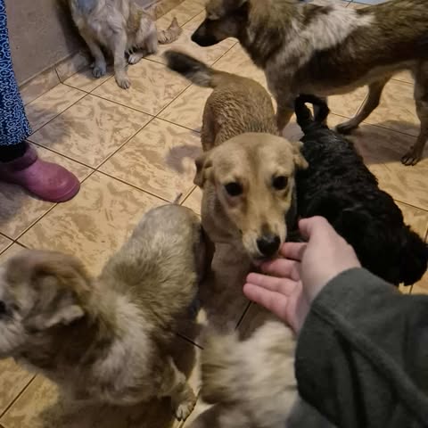 577845556 2672152989835853 6731478867217547900 n