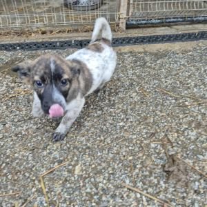 577854878 799142053170987 8866101942187470046 n