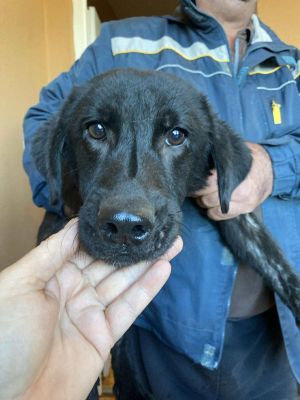 577860612 1921052338452065 4437399793338287204 n