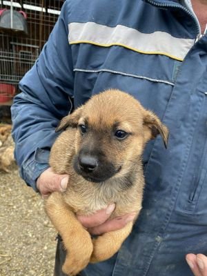 577871937 607284975807655 3312321289980242475 n