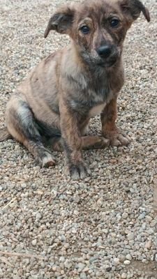 577875295 1374408220957668 4621983510768060729 n