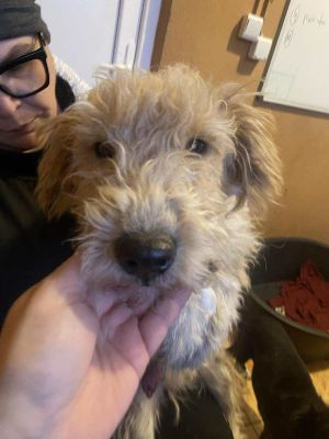 577877753 705749229242501 5103967575831981377 n