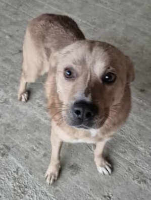 577909512 25153142664326323 38874472824618094 n