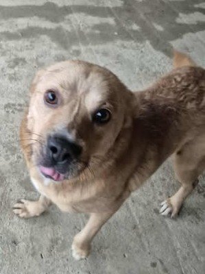 578081531 25153142847659638 4089003099356465382 n