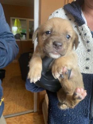 578082389 1393072159122931 4930345860468444428 n