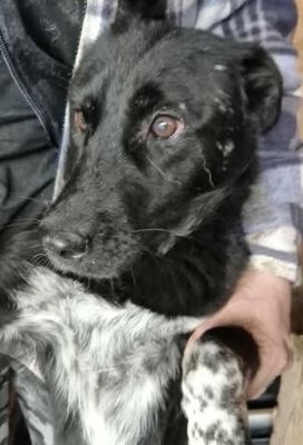 578264952 25166056149701641 6392918097732918488 n