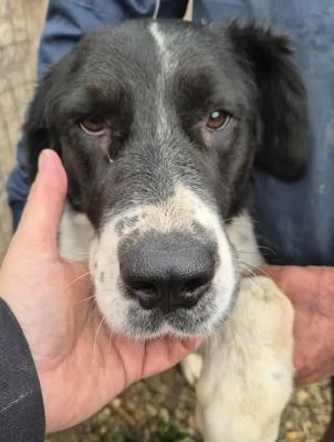 578265433 25165930506380872 9216176246183706388 n