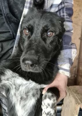 578267211 25166056089701647 3117205288460934723 n