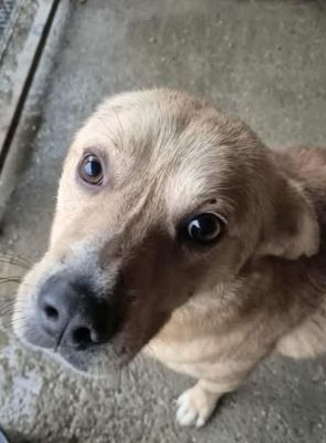 578268511 25153142220993034 7349819967085922240 n