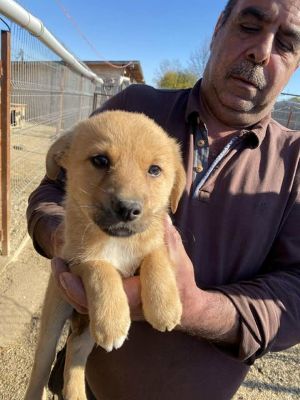 578269411 25175272082113381 7899729439807850541 n