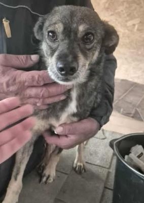 578645323 25163424179964838 1142788306493290928 n