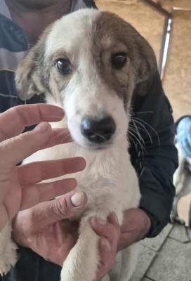 578690815 25157117057262217 5039742224869548420 n