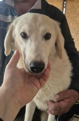 578709420 25163173019989954 5737678642876914650 n