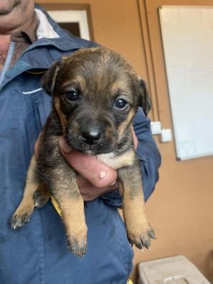 578757067 1150473340397444 4694520397892490278 n