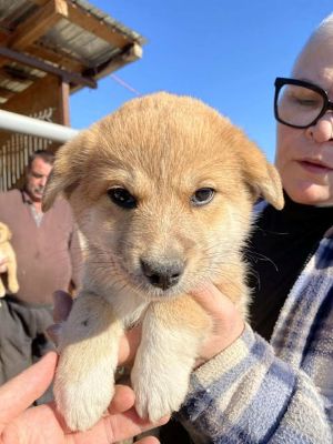 578935727 25175226148784641 5626150362883443007 n