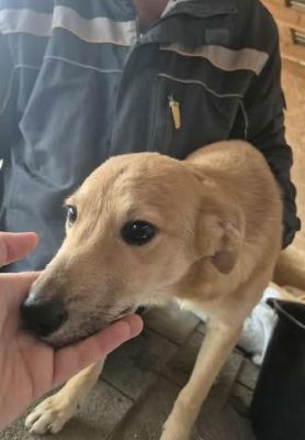 579001445 25157002860606970 6896175644299710282 n