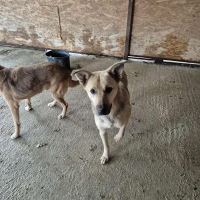 579010625 25175037982136791 3335915767116989036 n