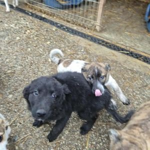 579097907 820290740922865 2231638193599926943 n