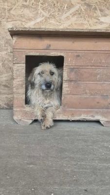 579106708 25174874142153175 3351136215395509064 n