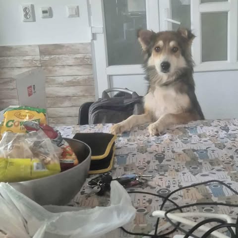 579107791 2670923239958828 4903368397017321089 n